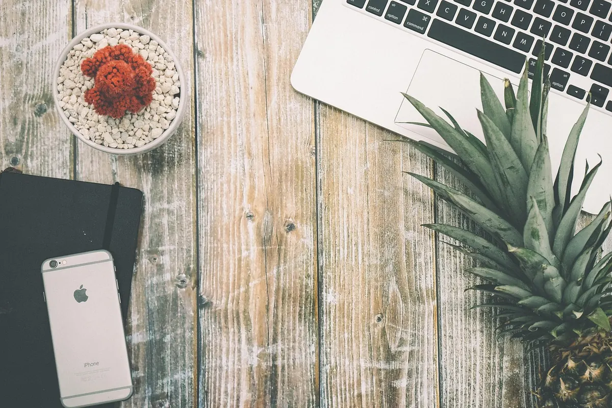 A Beginner's Guide to Nature Journaling: Start Your First Notebook